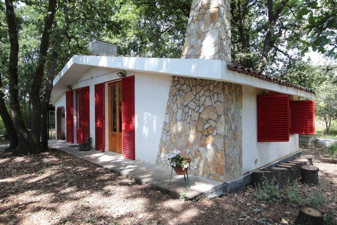 Chalet Villa Fini Fleri المظهر الخارجي الصورة